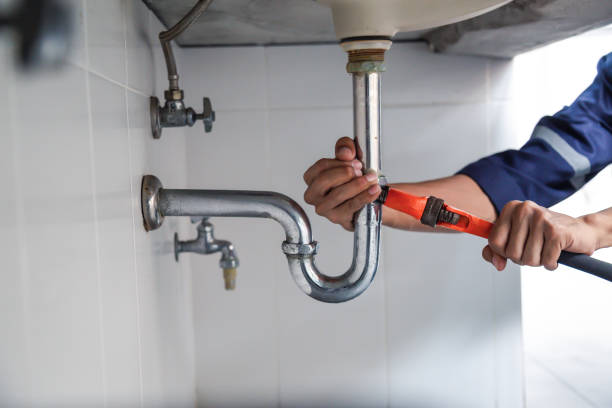 Best Leak Detection Services  in Helemano, HI