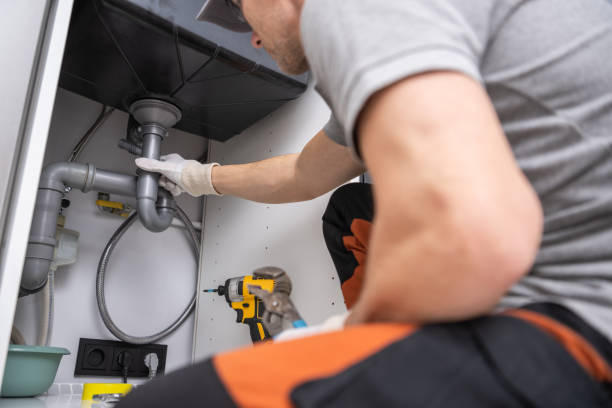Best Local Plumber Services  in Helemano, HI